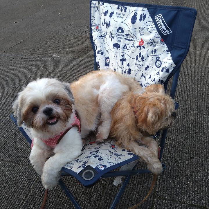 Ae2705bd 9c0d 4731 8de5 466b688ab357 1601192417857