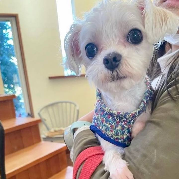 Ae2743ca d176 49d2 9435 0a97397087eb 1676008182226