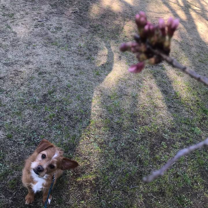 Ae27c8df 7bc4 4616 846c c2e5fcc08d2d 1584532524461