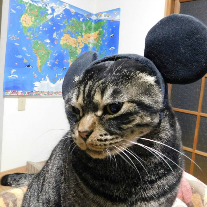 Ae27f417 bebf 4753 ae7a debe4255250f 1543831892893