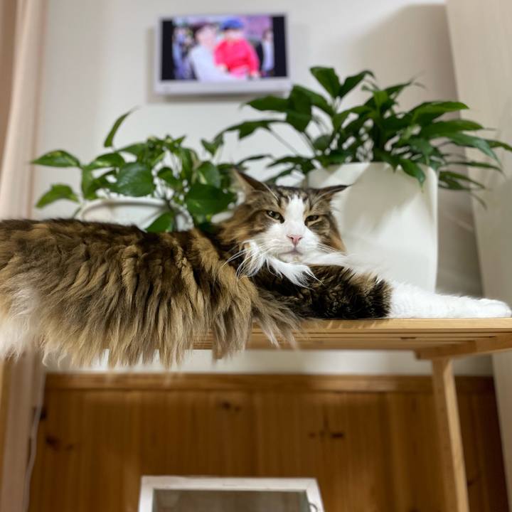 Ae280114 557c 4056 9ec6 69e994766314 1706123395249