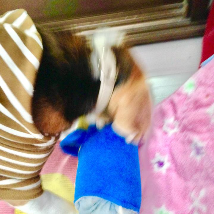 Ae28282d 9110 4291 bbdd 6378ef1ee574 1763897679437