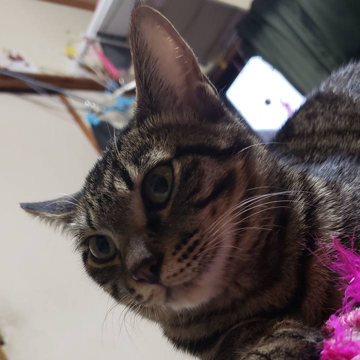 Ae2869e8 b2fa 455f bc85 97e3a8d828d2 1544218812700