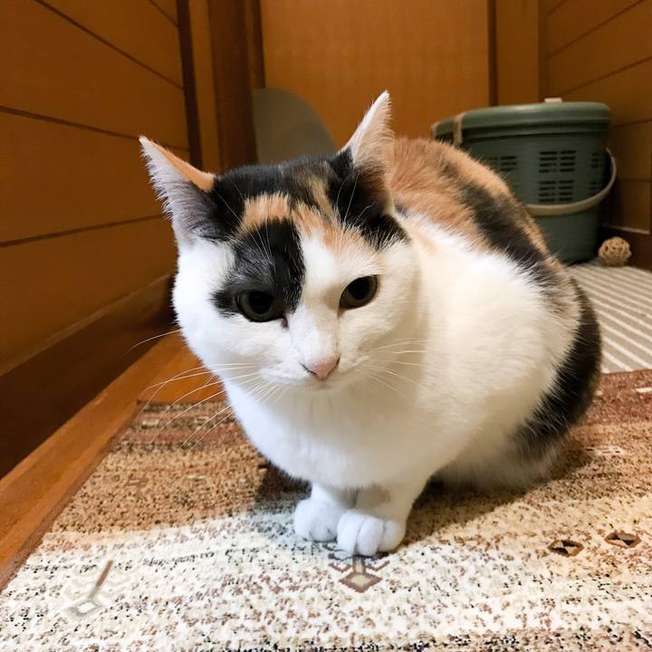 Ae28808f a081 4fc5 8ecc 43fb269240af 1527086542335