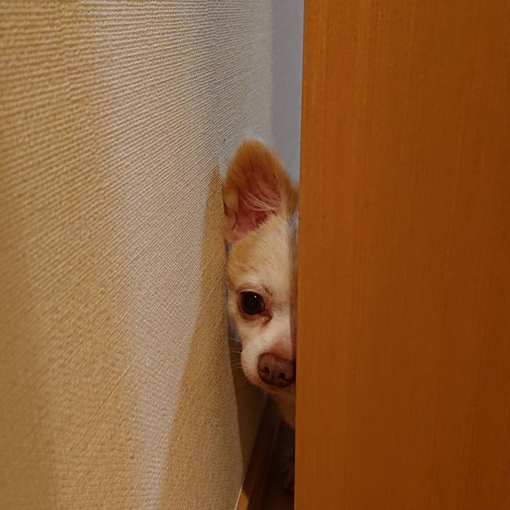 Ae28929c a44b 465f ac6c 490724156cca 1564027037241