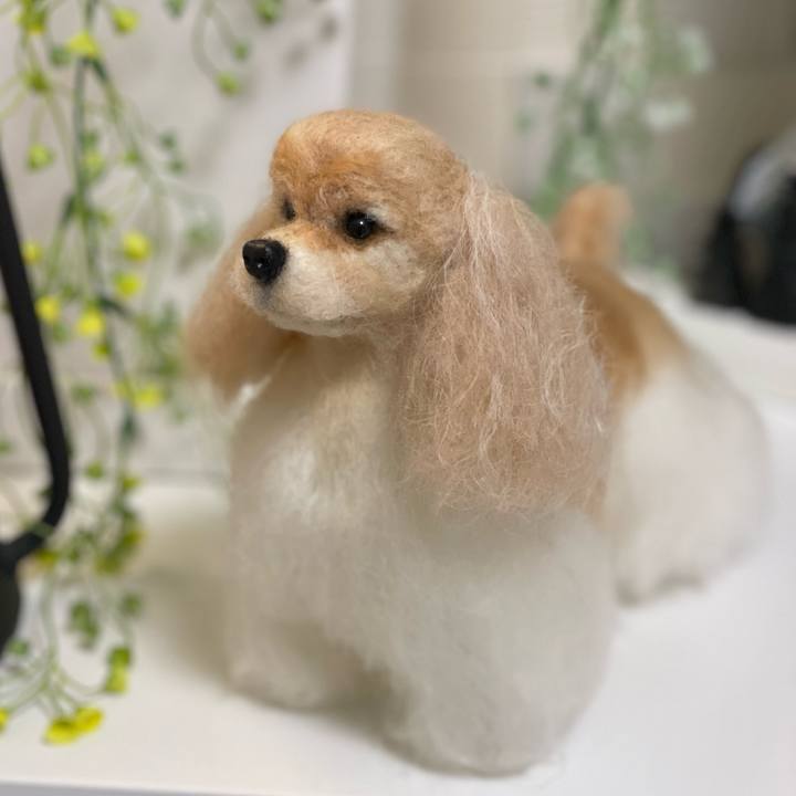 Ae28ac03 95d5 4ff7 918d cef4543731b9 1670492390288