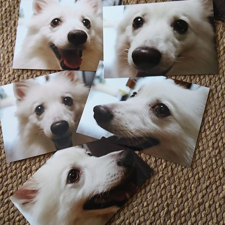 Ae28d7bb 96c3 4227 984d 8e75d4ffdfad 1540695740471