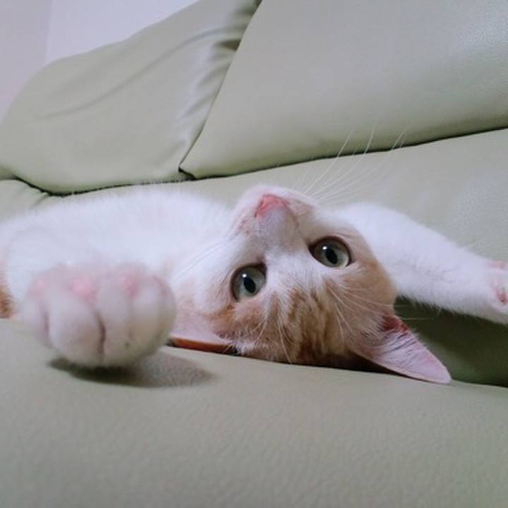 Ae28db4b b4da 44a8 a890 05b08323d42d 1559014290657