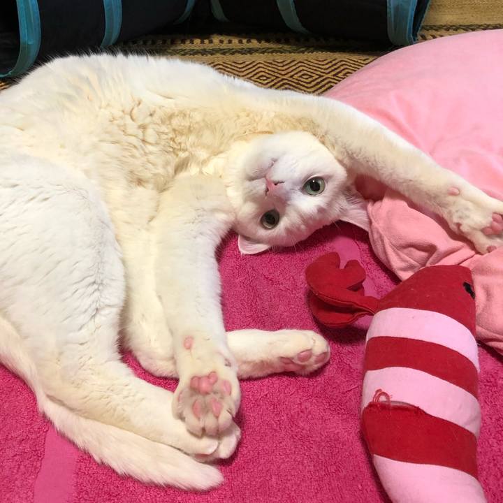 Ae294f52 a177 4ad3 918f 8c0a05c88b68 1614951817292