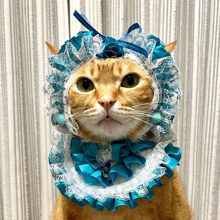 Ae297eda 073f 4740 bdef 5271f4120155 1647766295726