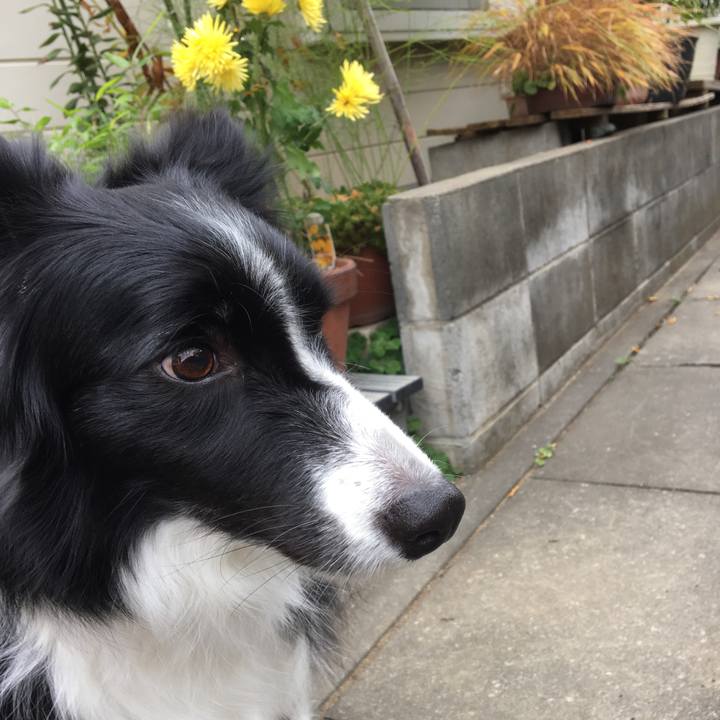 Ae298294 d6b6 4550 94bc 08706fd87534 1542597916022