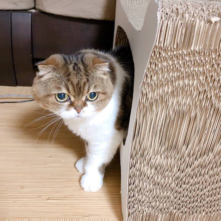 Ae29bcd6 e65f 4e17 839f 1f6e53c219ef 1566729165071