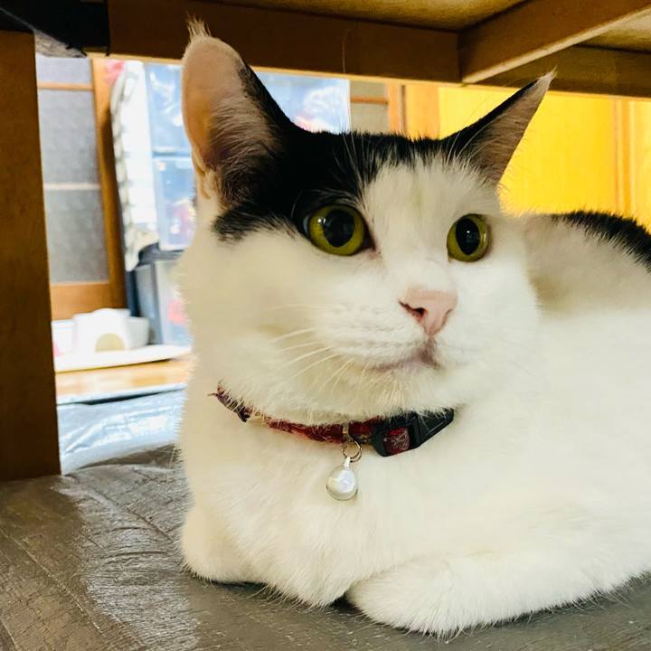 Ae29df45 cc38 4298 a03c 38fb3cdf4273 1688387502003