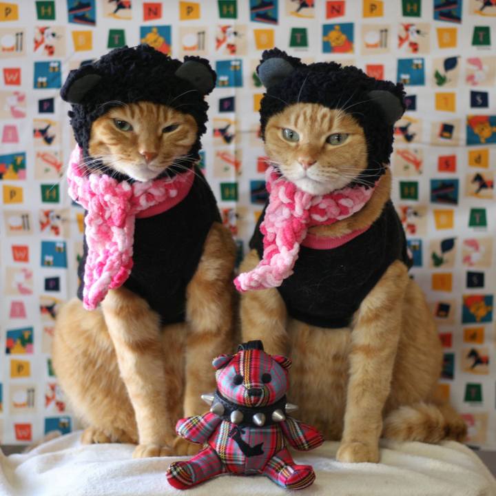 Ae29e62e 9bac 4ccd acea 156d0e8ba0cb 1515217512153