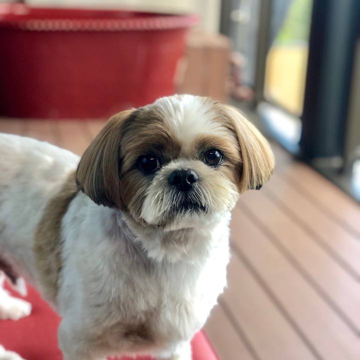 Ae29f877 fce6 47c6 ac7b 2d1856ff3de7 1568618222510