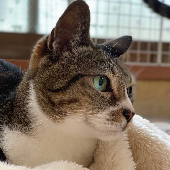 Ae2a086e 1c04 4576 9759 45dd1668d30b 1558573686565