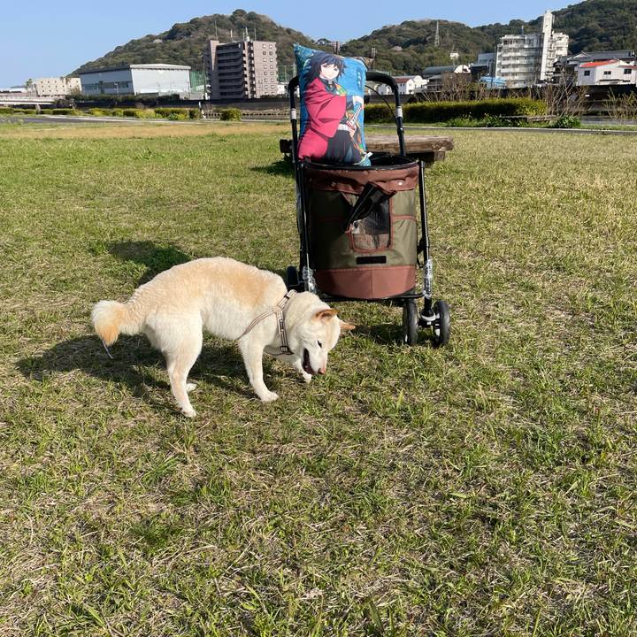 Ae2a1026 44ea 4e01 85c1 03e92651250c 1648125689018