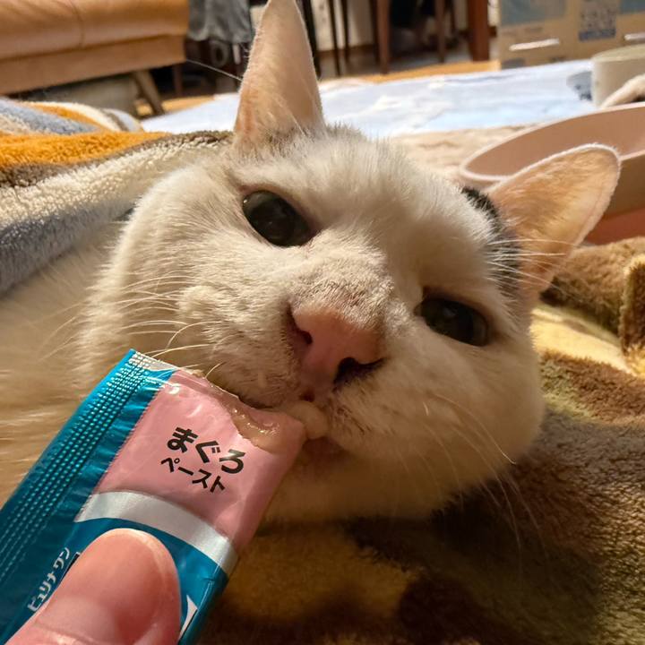 Ae2a3acd 94e7 46d4 beb1 37746e3a9e48 1764679445680