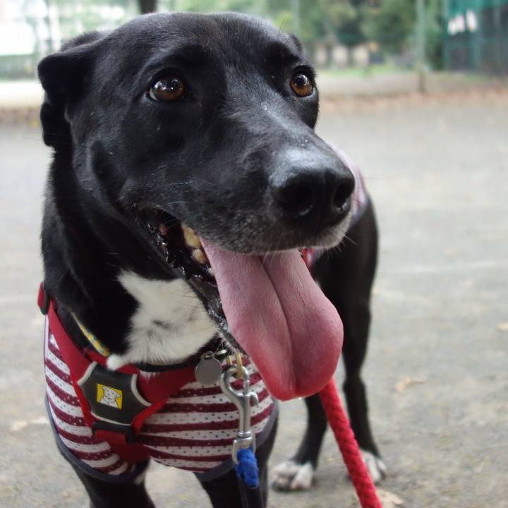 Ae2a714c abfe 4c70 847c 90898079b539 1598052404216