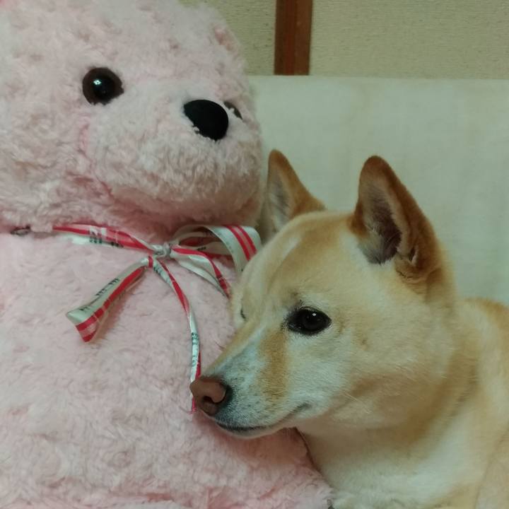 Ae2a7387 4aaf 4772 ad2c 94bf4ab2e89a 1584094653251