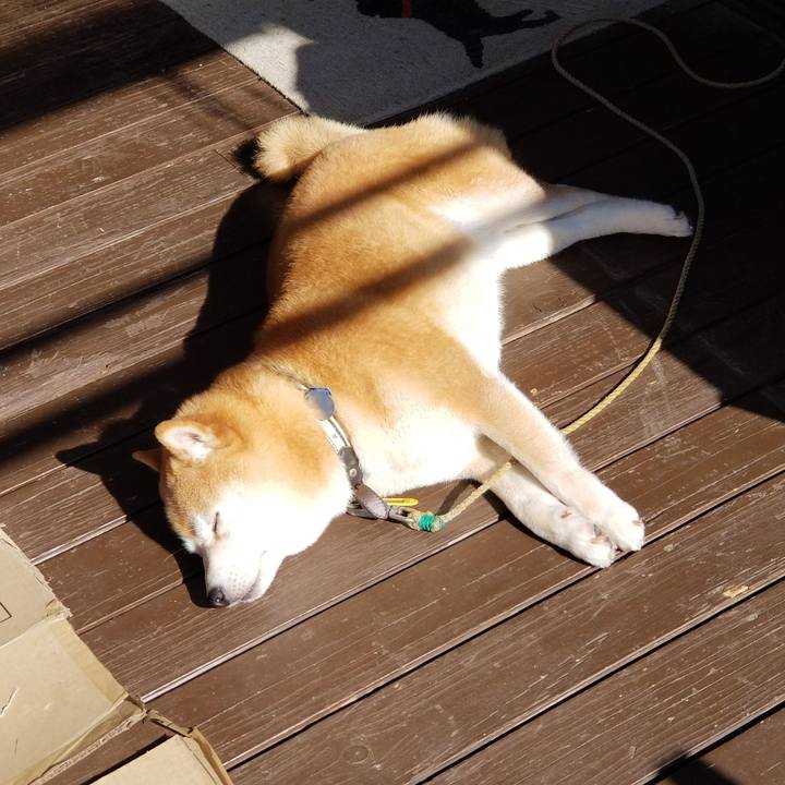 Ae2a8ca0 9ed1 40b2 99d8 05f0aa2f6a5a 1621723502045