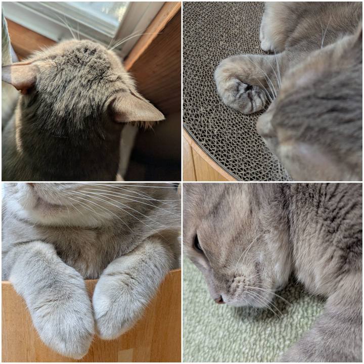 Ae2b3b7d 3eba 45a8 a312 e75809574a54 1743054757572