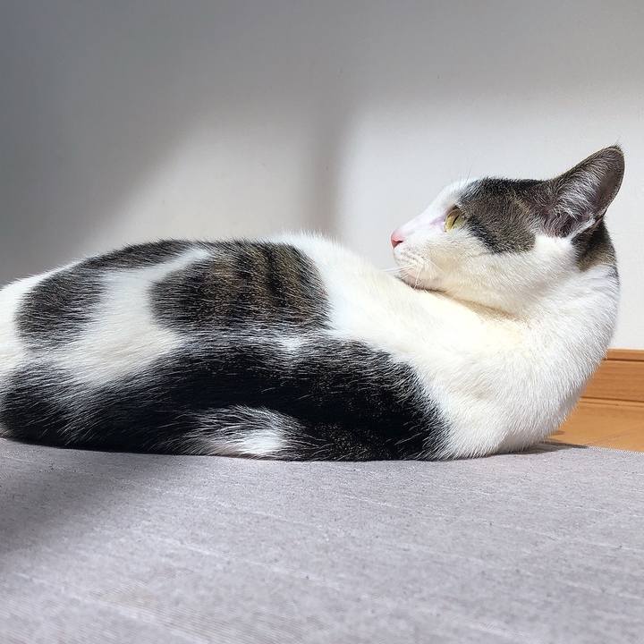 Ae2b8440 803b 463a 9775 ec3de60ee798 1646627531814