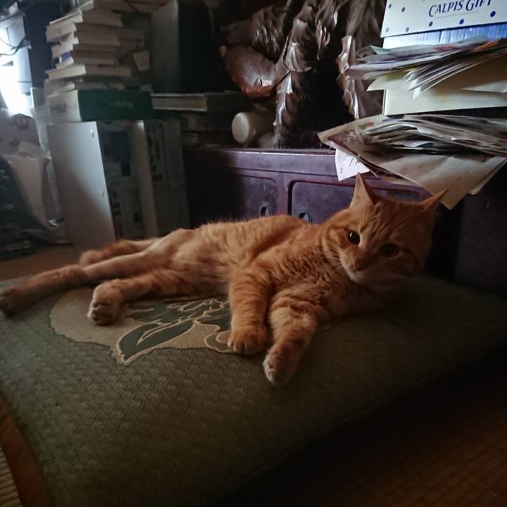 Ae2b9547 83a5 4a5f 98d6 50c1324fc033 1656281029479