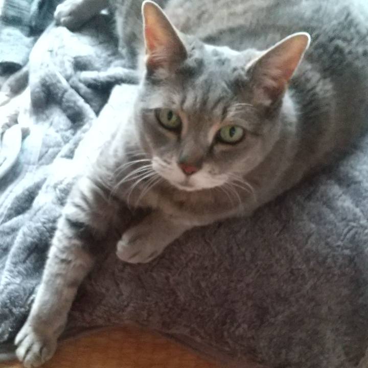 Ae2bc09e 0956 4c1e 93c6 1762dbc6f7e8 1652944157096