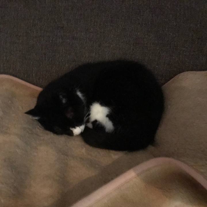 Ae2bc88e db18 4b2e b655 8208316fce07 1576080104842