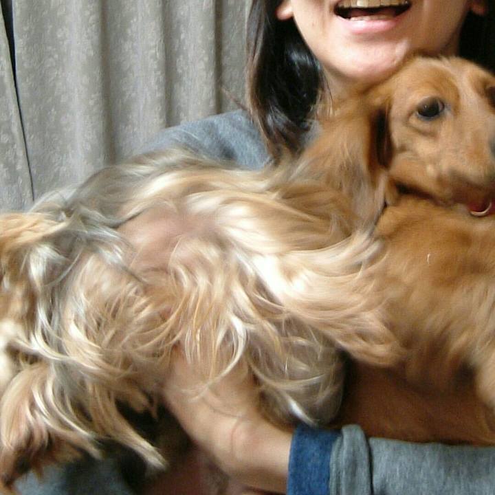 Ae2bfb65 3329 44e2 bee8 76561ff2b5e6 1525956420052