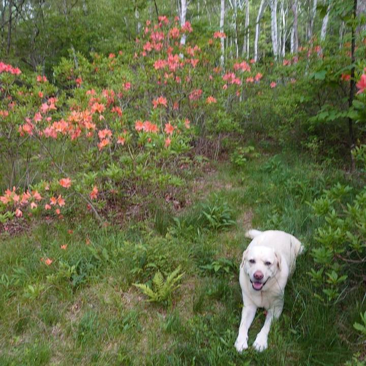 Ae2c029d d003 41b9 b5bb b9453c20d1d8 1623382181738