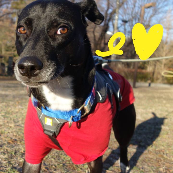 Ae2c0360 2e4d 455f 9103 6cf02e04f142 1640566606747