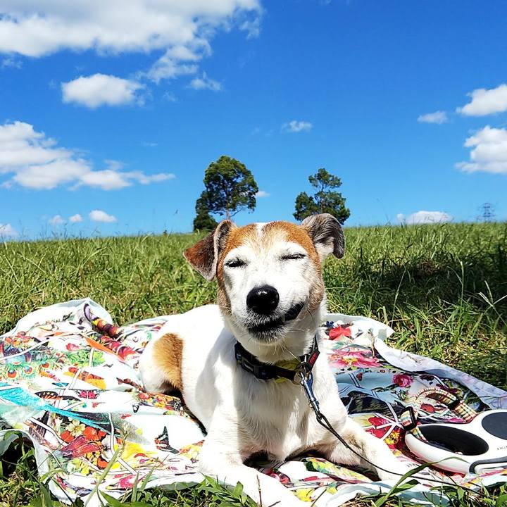 Ae2c2fdf 26bd 47c6 b55d 682690147caa 1538980294872