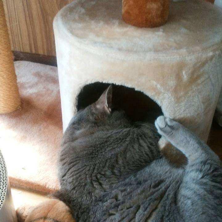 Ae2c7d33 a334 4338 be96 a1e560ff92de 1538883199662