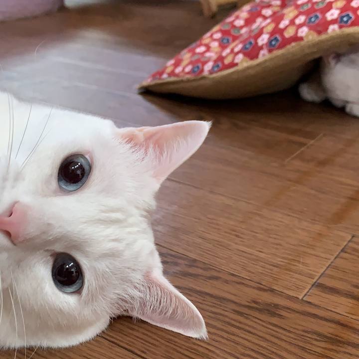 Ae2c8d28 93a3 4144 83f0 953f1fabf44d 1620685126562