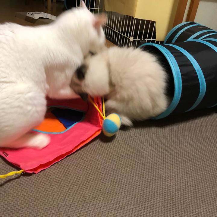 Ae2c9f6a a12b 4505 b584 351dff69a57e 1633353068356