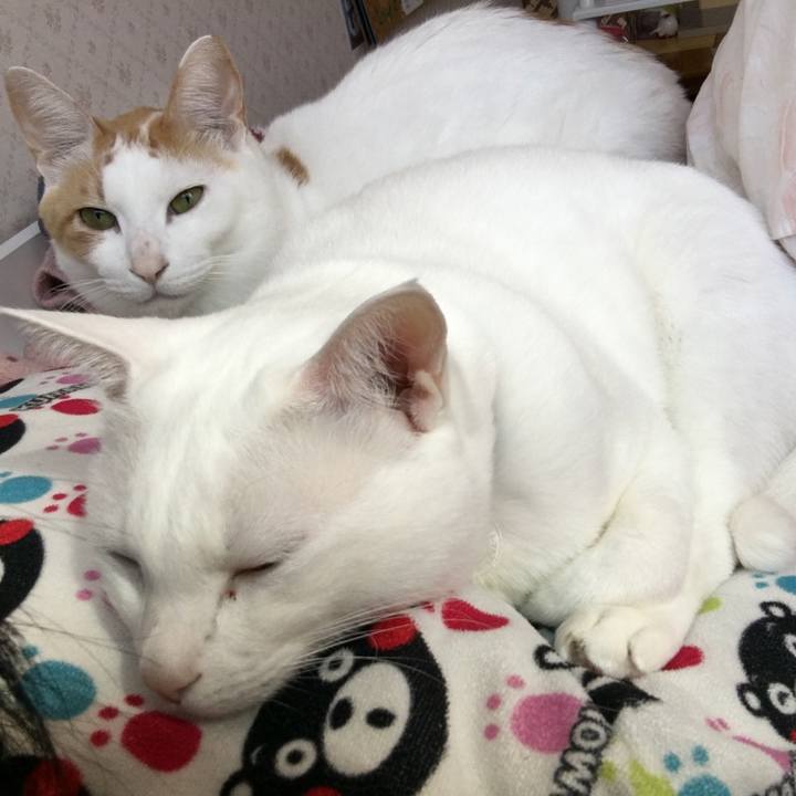 Ae2cb635 fe15 4c7a 81fc b6472264da97 1520731733631