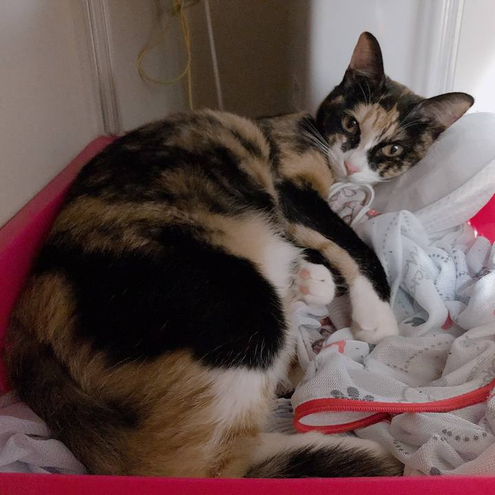 Ae2ce201 3ffc 4d98 b1b5 5f23059d8e5a 1569050538235