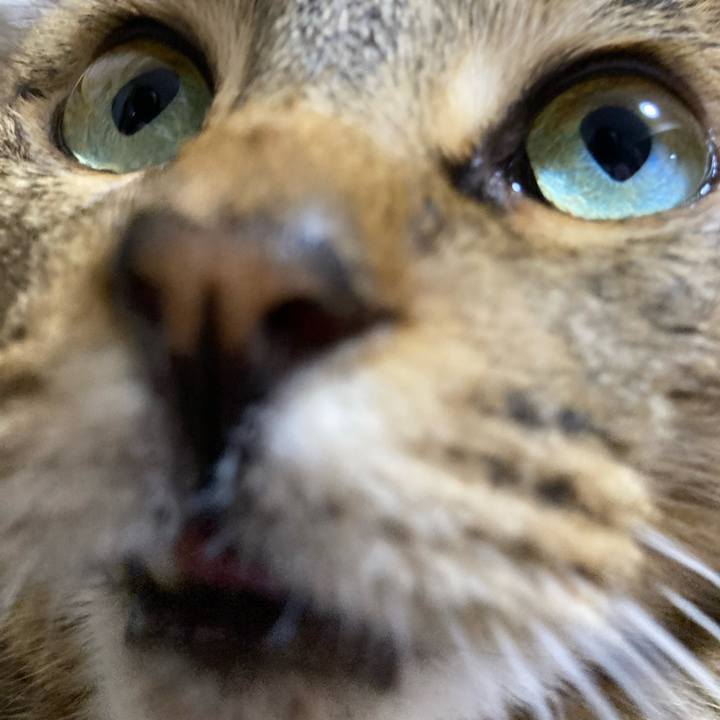 Ae2cf159 2bf2 4344 819d 67b52088bbb3 1595460542150