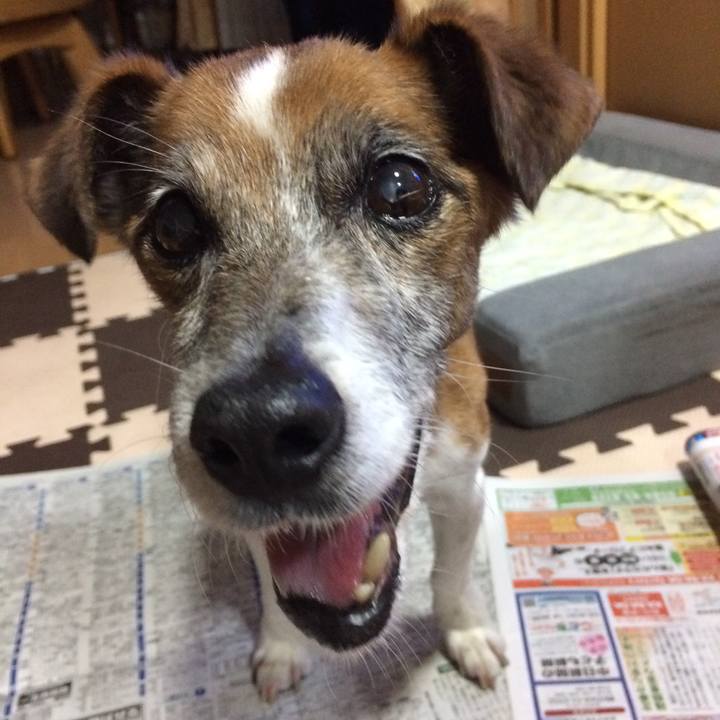 Ae2cf9ce 1023 4400 9ffc 461c77be350d 1530356001286