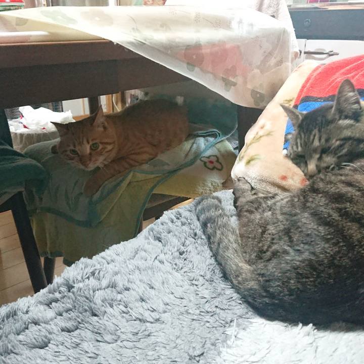 Ae2d0b22 9362 4b07 bcd5 85874617c242 1652910398095