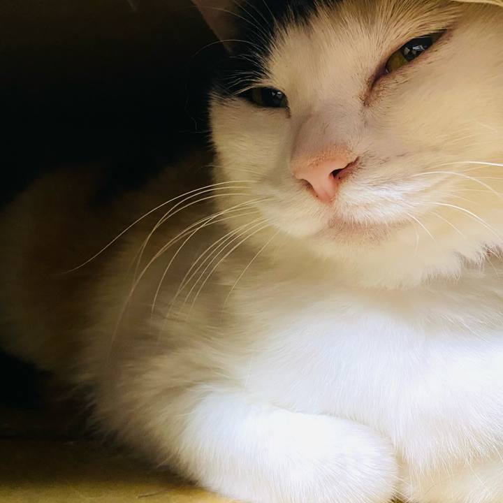 Ae2d1272 daac 40b0 9768 5c24b1efa6d0 1654550777738