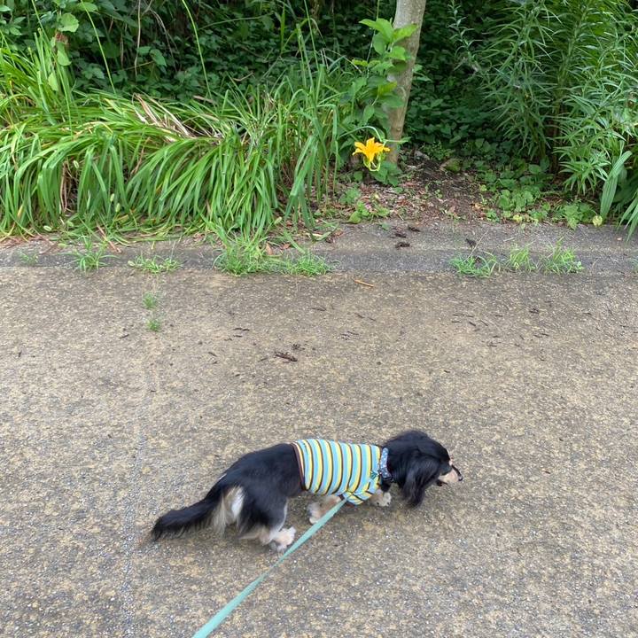 Ae2dcf30 26e0 4e46 82c5 3865fafbe7d8 1751842621007