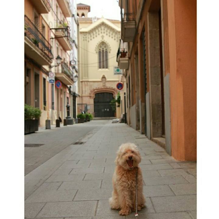 Ae2de577 f48b 4dc9 a566 c4918e7d32cd 1588701076844