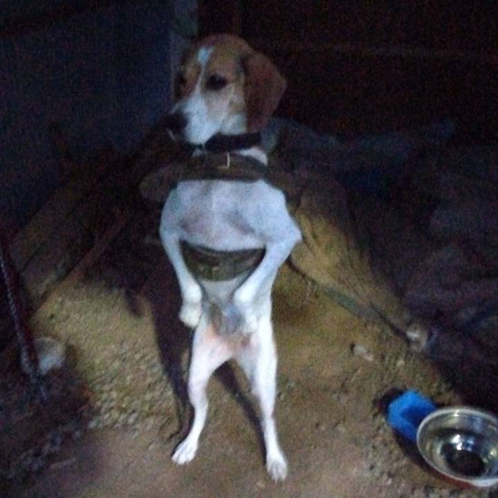 Ae2e2588 65ff 457a 8598 0a1b8df9fd48 1693131256784