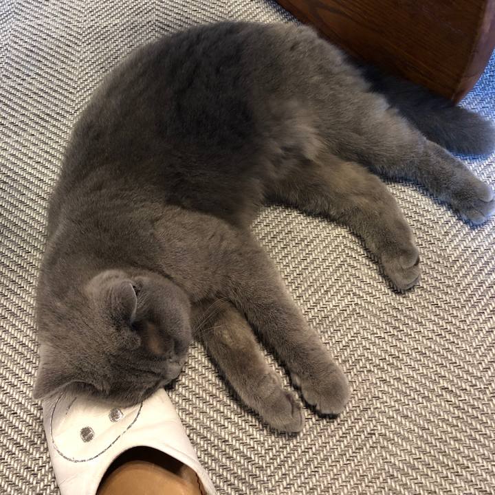 Ae2e2fbc 7ea0 45a9 8b57 2dd3862851f1 1555809350375