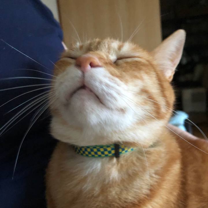 Ae2e4f26 de3d 448c 8001 ad55f140f9b2 1724057203825