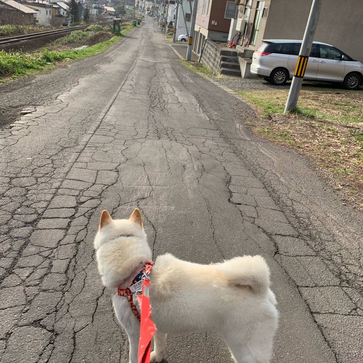 Ae2e55f6 429c 42b5 bcb2 f31592c3d3c1 1556108865852