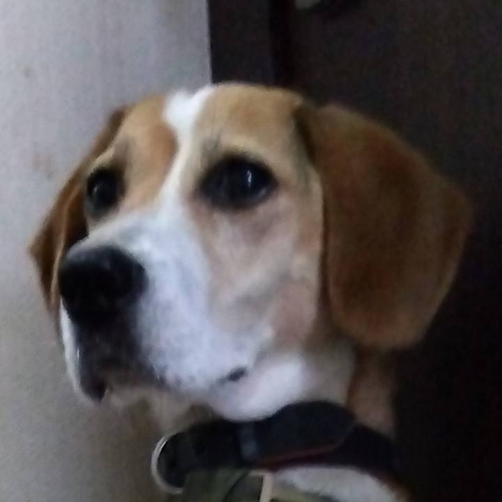 Ae2e86d2 7452 4268 a9af 1f7332e6eed7 1691571888737